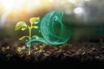 Digitalization accelerates sustainability in the process industry